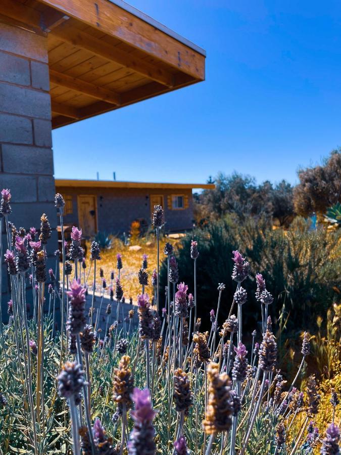 Sn Tony Hotel & Spa Villa de Juarez Exteriör bild