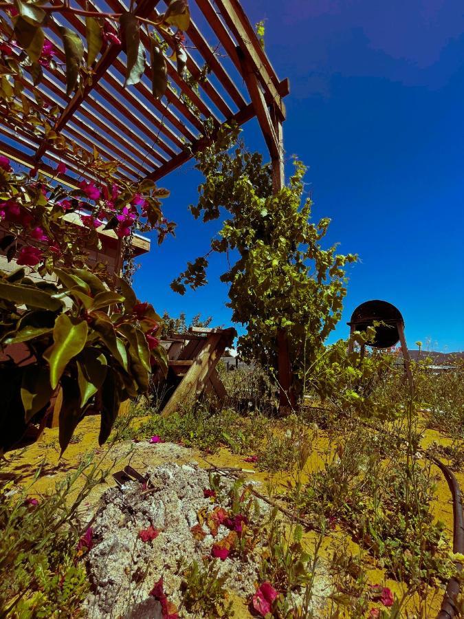 Sn Tony Hotel & Spa Villa de Juarez Exteriör bild